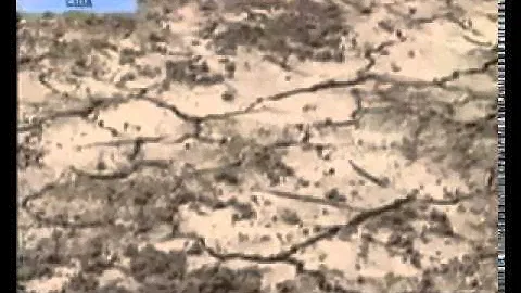 О чудо!!! Вода из воздуха.