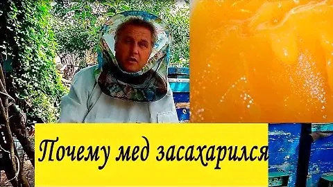 Почему мед кристаллизуется? вся правда!!!! развеиваем миф