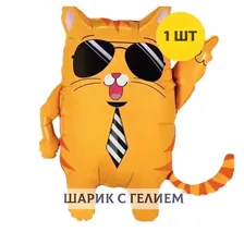 Воздушный шар с гелием Крутой кот